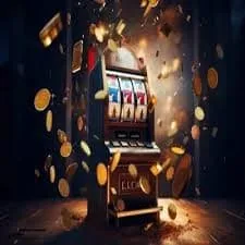 bj666 Sportsbook